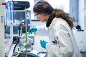 16082836958_8f073d0ae7_b