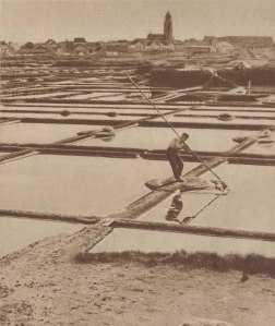 1200px-Paludier_au_travail_près_de_Batz-sur-Mer_(1939)